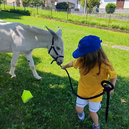Lieve Agriglamping Experience Luksustelt *