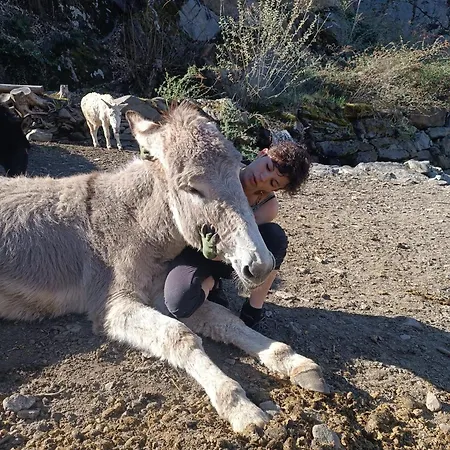 럭셔리텐트 Lieve Agriglamping Experience