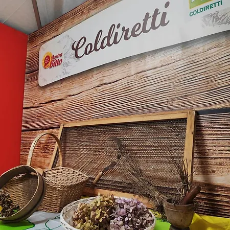 Lieve Agriglamping Experience Luksustelt