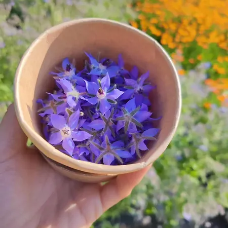 럭셔리텐트 Lieve Agriglamping Experience 알보사기아