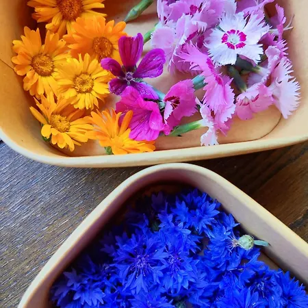 Lieve Agriglamping Experience Luksustelt Albosaggia