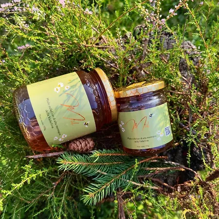 Lieve Agriglamping Experience