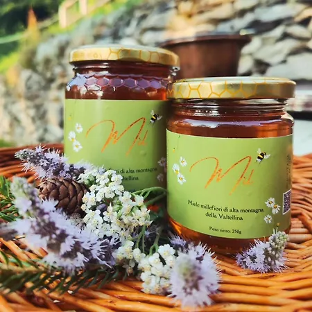 Lieve Agriglamping Experience 럭셔리텐트