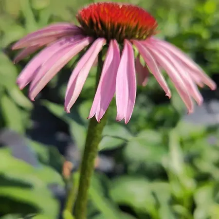 Lieve Agriglamping Experience *