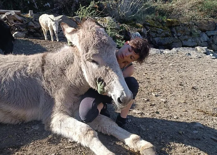 Campismo de Luxo Lieve Agriglamping Experience