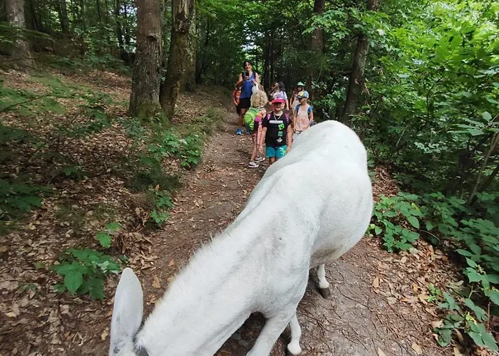 Lieve Agriglamping Experience Campismo de Luxo Albosaggia