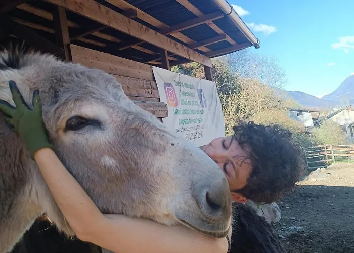 Campismo de Luxo Lieve Agriglamping Experience