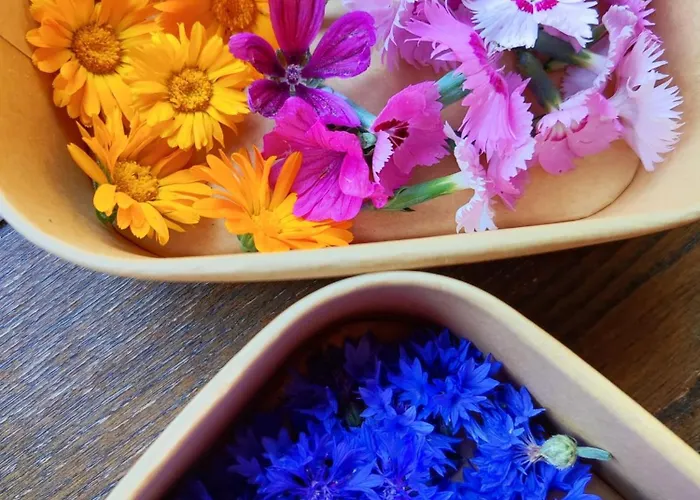 Lieve Agriglamping Experience Campismo de Luxo Albosaggia