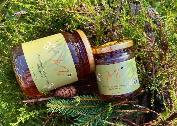 Lieve Agriglamping Experience