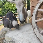Luxusní stan Lieve Agriglamping Experience *