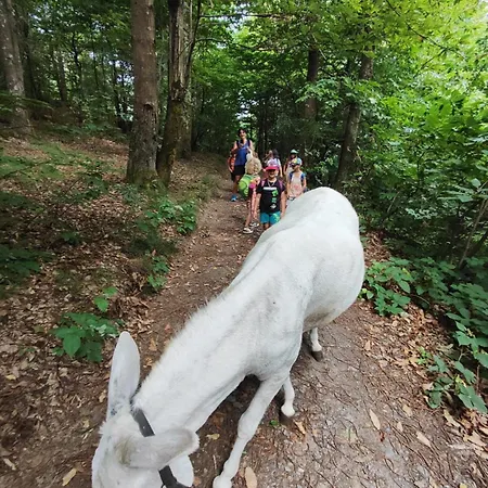 Lieve Agriglamping Experience Lüks kamp alanı Albosaggia