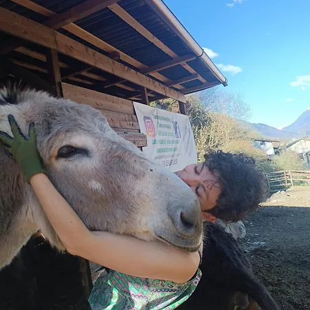 Lüks kamp alanı Lieve Agriglamping Experience
