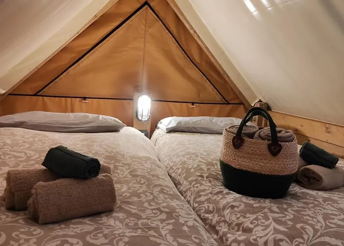 Lieve Agriglamping Experience Albosaggia
